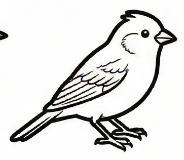 two birds sitting on top of each other birds.webp